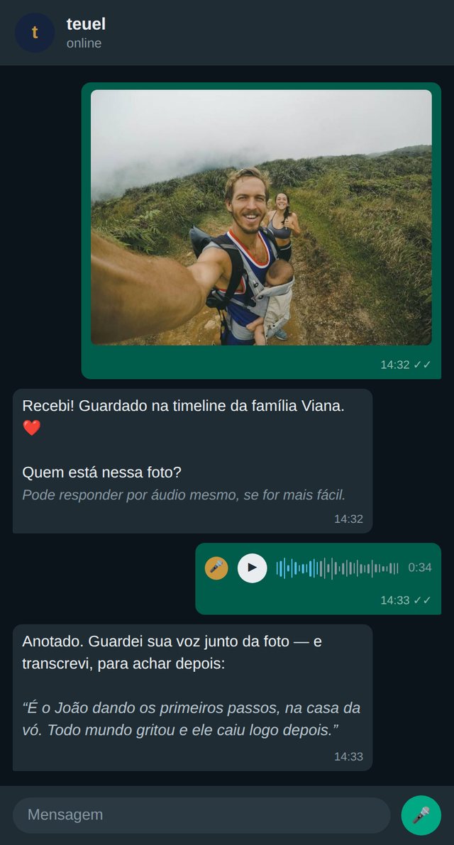 Conversa no WhatsApp: a pessoa manda a foto, o teuel pergunta quem está nela e ela responde por áudio